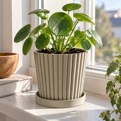 Rillet plantepotte med grønn plante og underskål – illustrasjon
